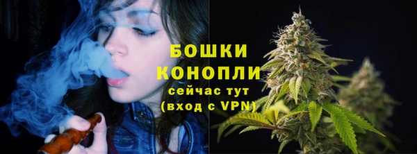 дживик Белоозёрский