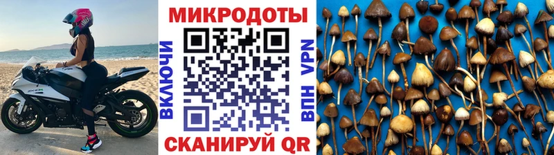 где купить наркотик  Когалым  Псилоцибиновые грибы мицелий 